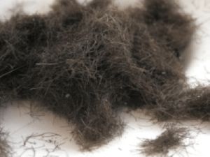 waste human hair