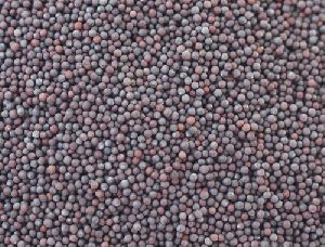 Bold Black Mustard Seeds