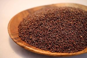 Small Black Mustard Seeds