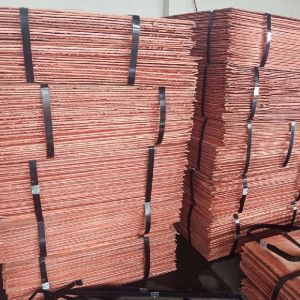 Copper Cathode 99.99%