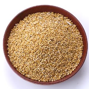 Red foxtail Millet