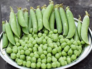 Fresh Green Peas