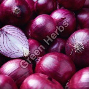 Fresh Red Onion