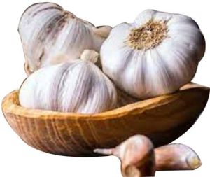 Natural Fresh White Garlic