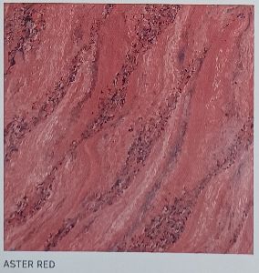 Aster Red Double Charged Vitrified Tiles