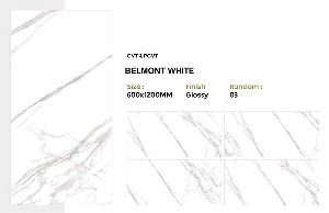 Belmont White GVT Glossy Tiles