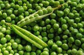 Green Peas Seeds