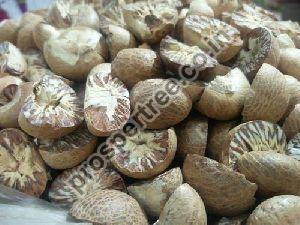 Areca Nuts
