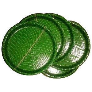 Leaf Paper Plate