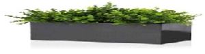 Rectangle FRP Planter