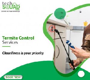 termite treatment services