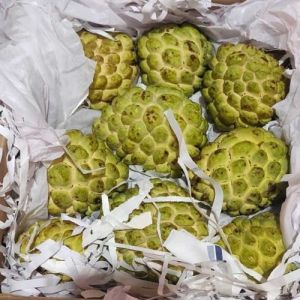 Custard Apple