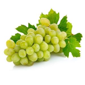 Fresh Green Grapes