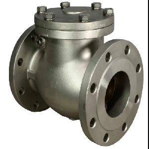 Stainless Steel Swing Check Valve