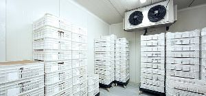 Cold Storage Warehousing Service