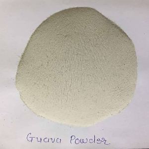 seasoning powder