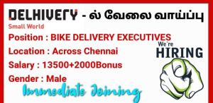 delivery executive service