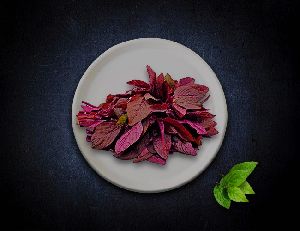 FROZEN RED AMARANTH