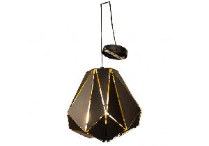 Black Pendant Light