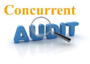 Concurrent Audit Services
