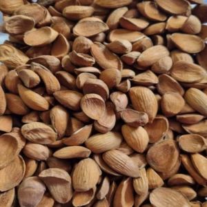 Afgani Mamra Grade Almond Kernels