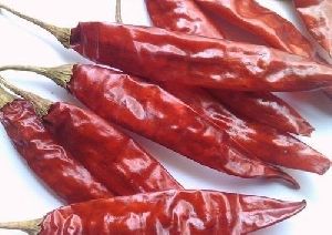 Dried 341 Long Red Chilli