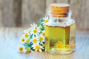 German Chamomile Flower Oil