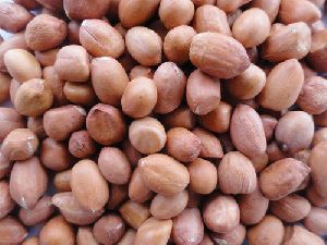 Groundnut Seeds