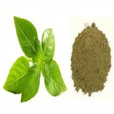 Lemon Basil Powder