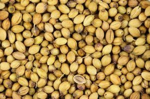 Coriander Seeds