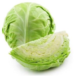 Fresh Cabbage