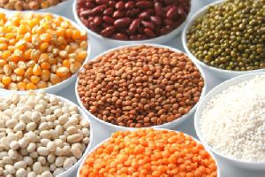 Cereals And Cereals Products Testing Services