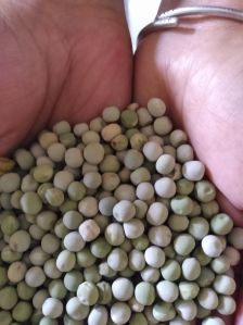 Green valley peas