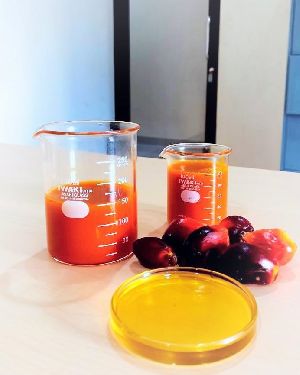 Crude Palm Oil
