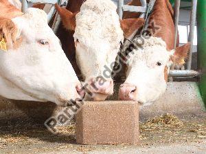 Cattle Lick Blocks