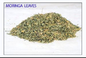 Dry Moringa Leaves