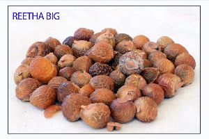 Dry Soap Nuts