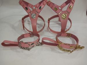 leather dog harness and collar with leash
