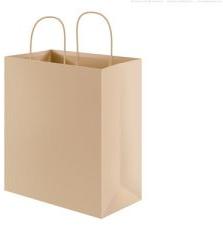 Shopping Paper Bags