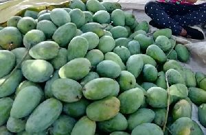 Fresh Organic Mangos