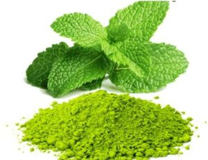 Mint Leaves Powder