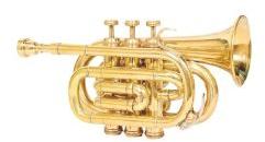 Brass Instruments Trumpet With Bugle Horn 3 Valve Mouthpiece at Best Price  in Roorkee