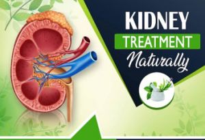 Kidney Treatment in Chandigarh