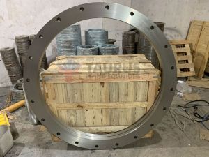 Super Duplex Backing Ring Flanges