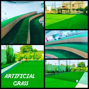 Artificial Grass