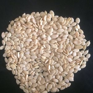 tarbooj seeds