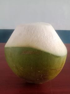 Tender Coconut