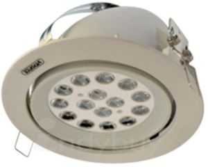 led zoom light