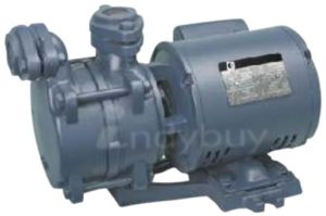 Monoblock Pump