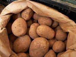Potato